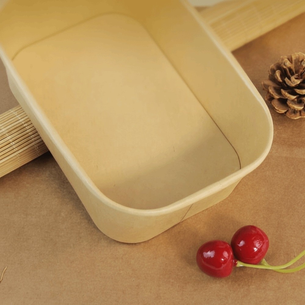 10PCS/Set Square Disposable Lu - đánh giá và giá Meal Prep Bowl